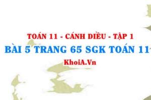 Bài 5 trang 65 SGK Toán 11 tập 1 Cánh Diều